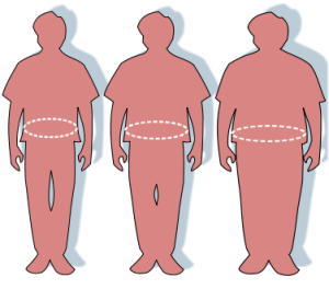 376px-Obesity-waist_circumference_svg